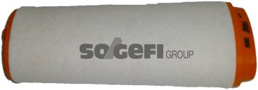 FRAM воздушный фильтр CA8934 купить,NaN