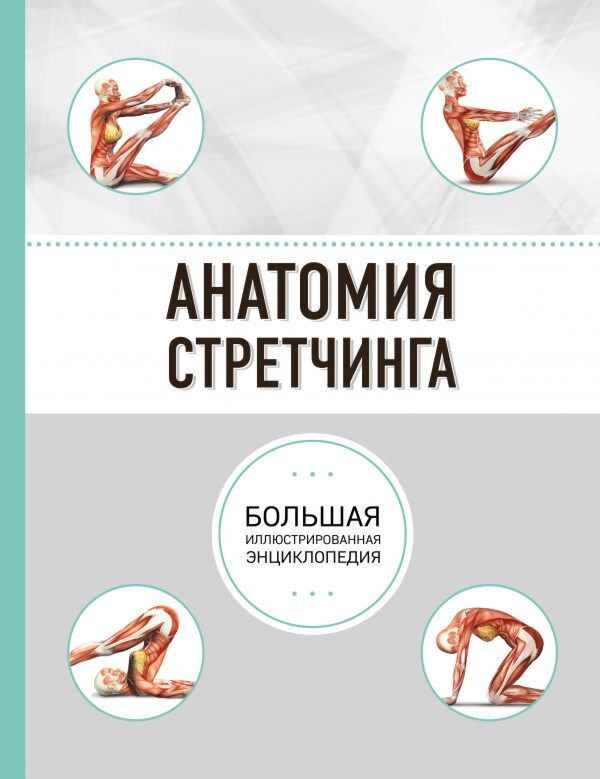 Спорт Анатомия стретчинга купить,NaN