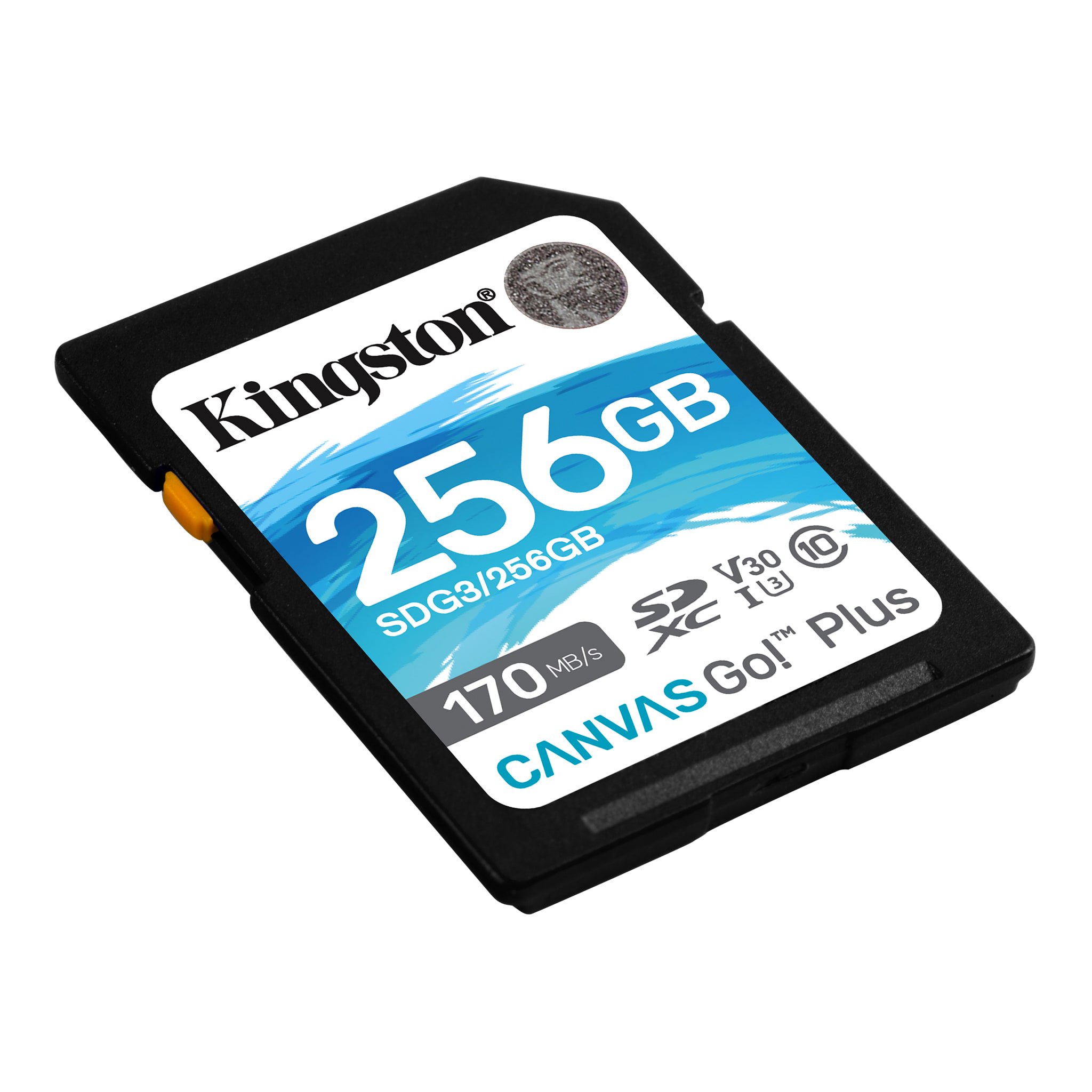 Карта памяти Kingston Canvas Go! Plus SDG3/256GB 256Gb купить,0