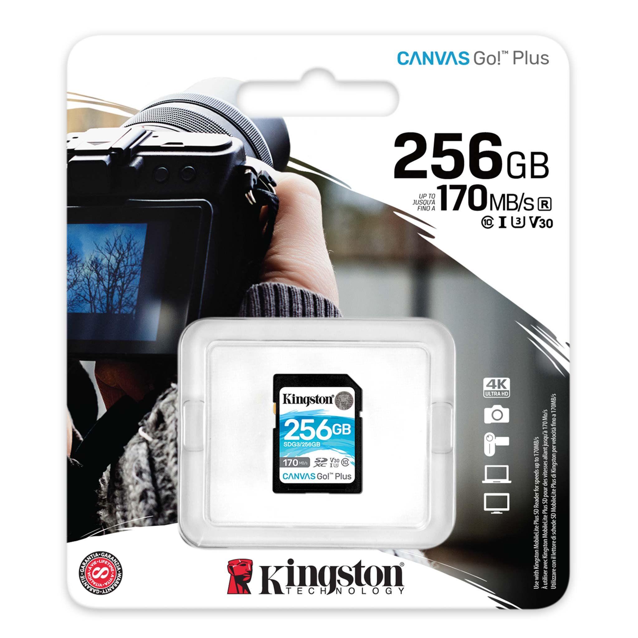 Карта памяти Kingston Canvas Go! Plus SDG3/256GB 256Gb купить,0