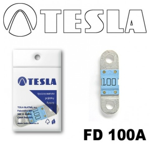 Предохранитель Tesla FD 100A 1шт