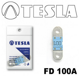 Предохранитель Tesla FD 100A 1шт