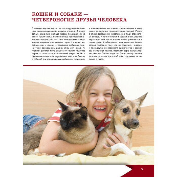 Барановская И. Г. Вайткене Л. Д. и др. Большая энциклопедия о кошках и собаках купить,NaN