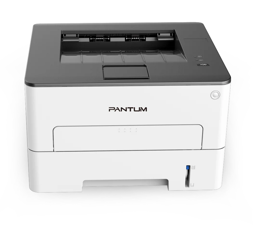 Принтер Pantum P3010D белый купить,0