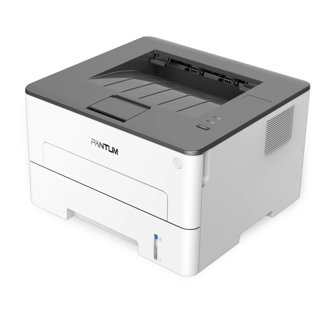 Принтер Pantum P3010D белый купить,0