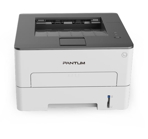 Принтер Pantum P3010D белый