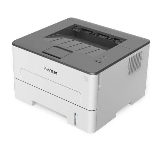 Принтер Pantum P3010D белый