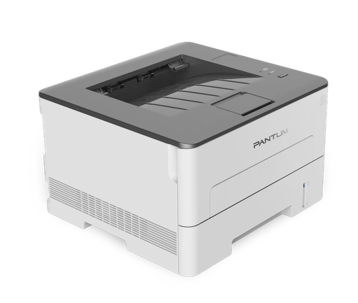 Принтер Pantum P3010D белый