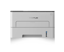 Принтер Pantum P3010D белый
