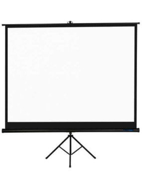 Экран моторизованный PROscreen TLZ1084 белый