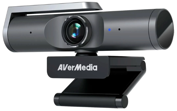 Веб-камера AverMedia PW515 61PW515001AE черная купить,101250
