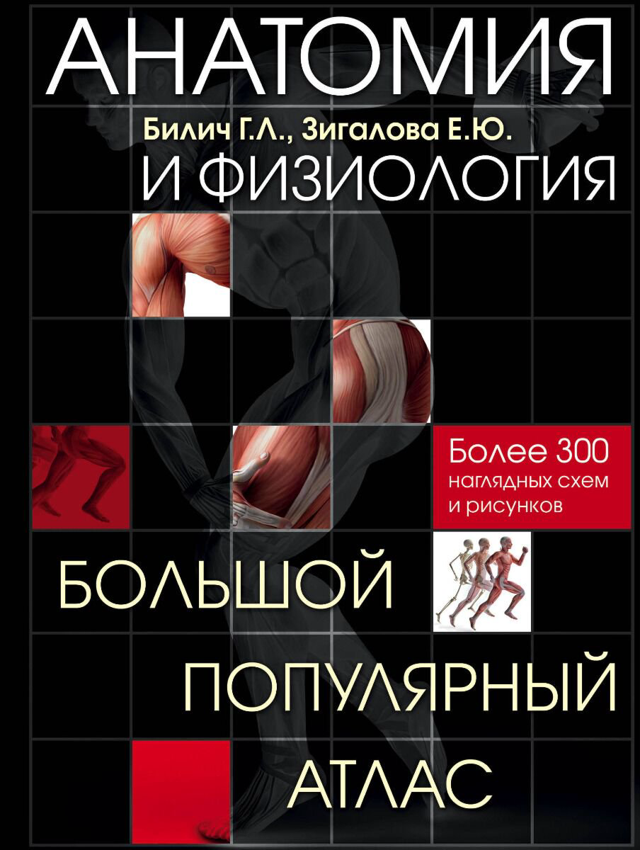 Здоровье Билич Г. Л., Зигалова Е. Ю. Анатомия и физиология. Большой популярный атлас купить,NaN