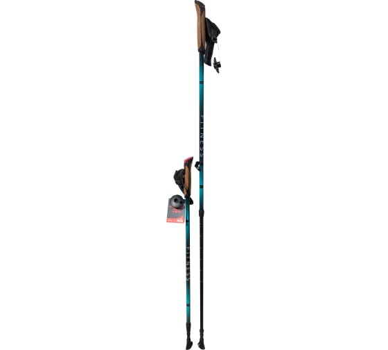 Палки для скандинавской ходьбы Tramp Fitness TRR-011 синие купить,NaN