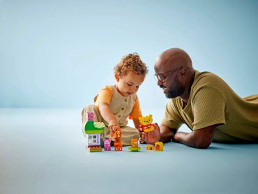 Конструктор LEGO DUPLO, деталей 22 шт купить,NaN