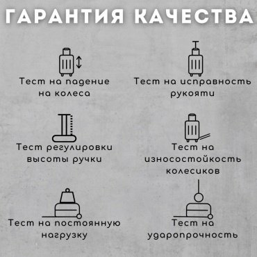 Чемодан NinetyGo Seine Luggage поликарбонат, полиэстер 38 серый, синий купить,NaN