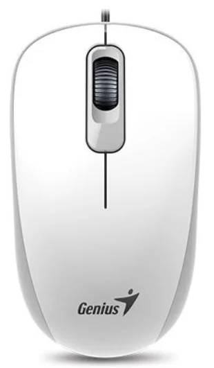 Мышь Genius DX-110 31010116102 White