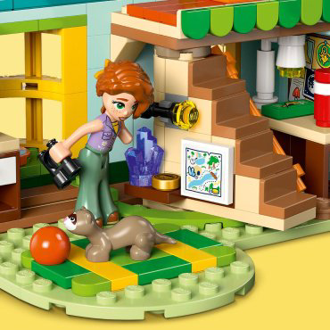 Конструктор LEGO Комната Отумн , деталей 222 шт купить,NaN