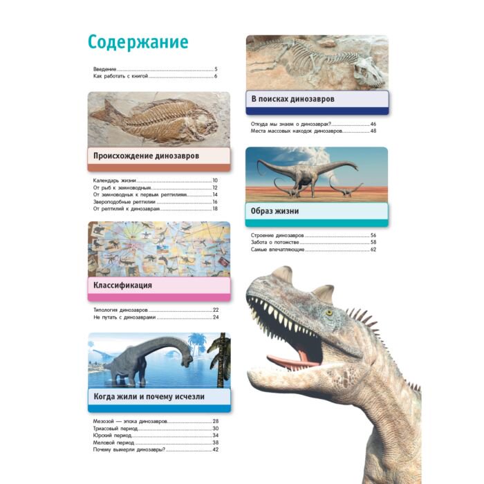 Энциклопедия Владимирова В. В. Тайны динозавров купить,NaN
