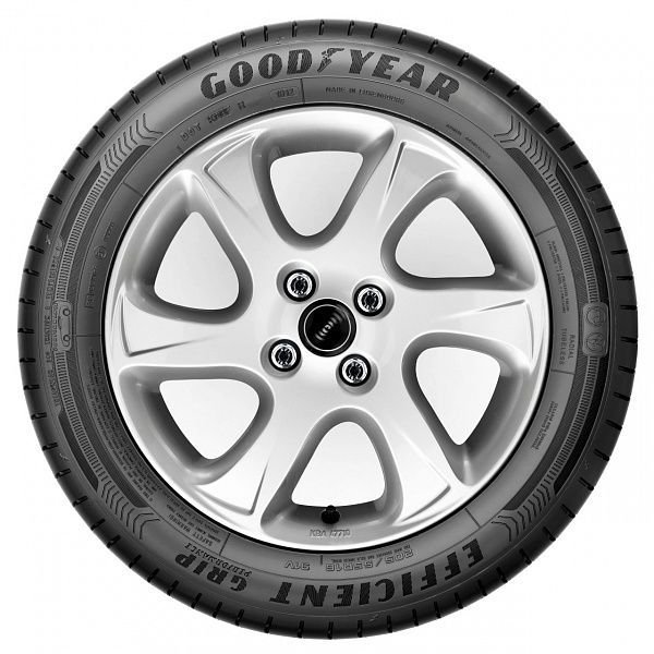 Шина Goodyear EfficientGrip Performance 205/65 R15 94V летняя купить,39780