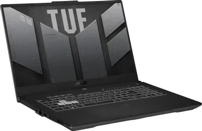 Ноутбук Asus TUF Gaming A17 FA707NU-HX018W 90NR0EF5-M00140 17.3'' Black 