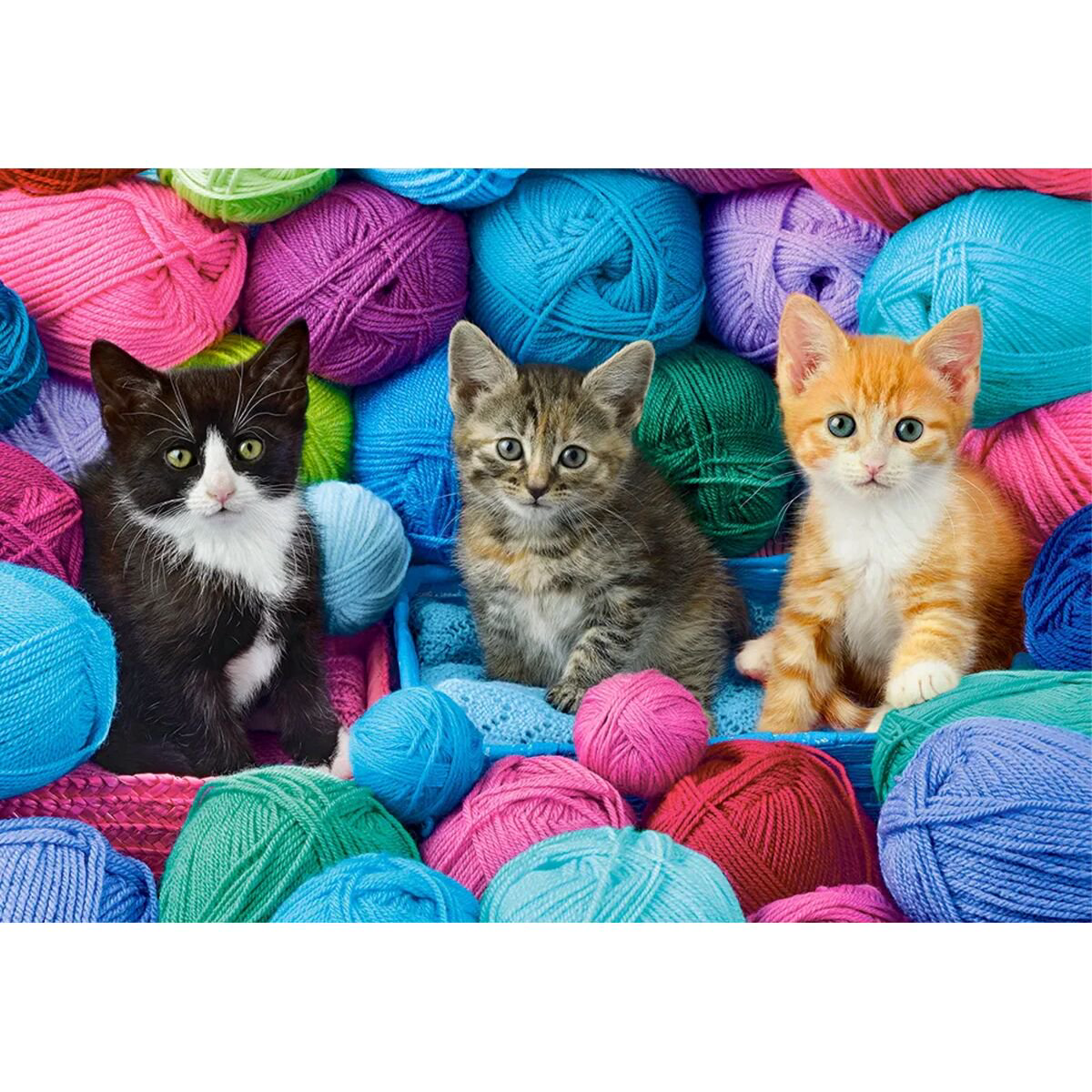 Пазлы Castorland Котята в пряже 1000 деталей купить,NaN