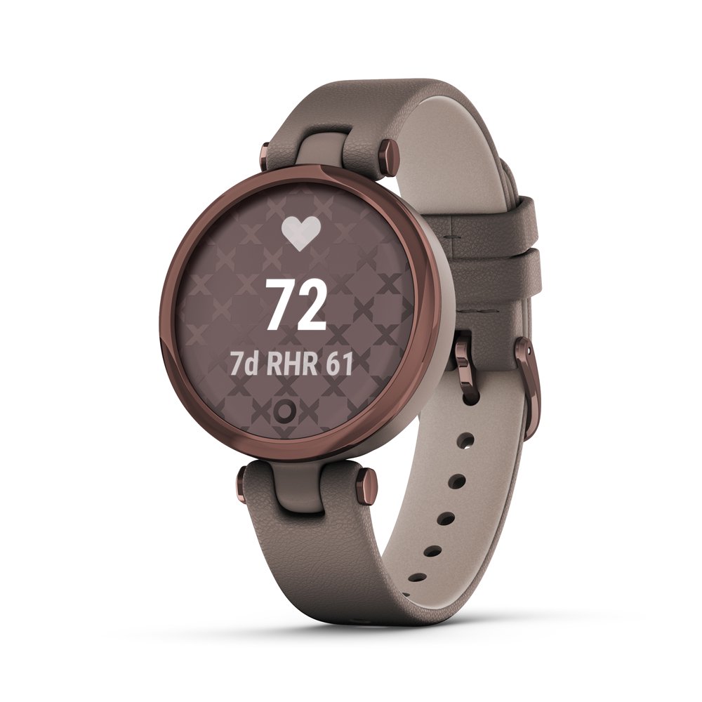 Спортивные часы Garmin Lily Classic 010-02384-B0 paloma