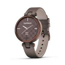 Спортивные часы Garmin Lily Classic 010-02384-B0 paloma