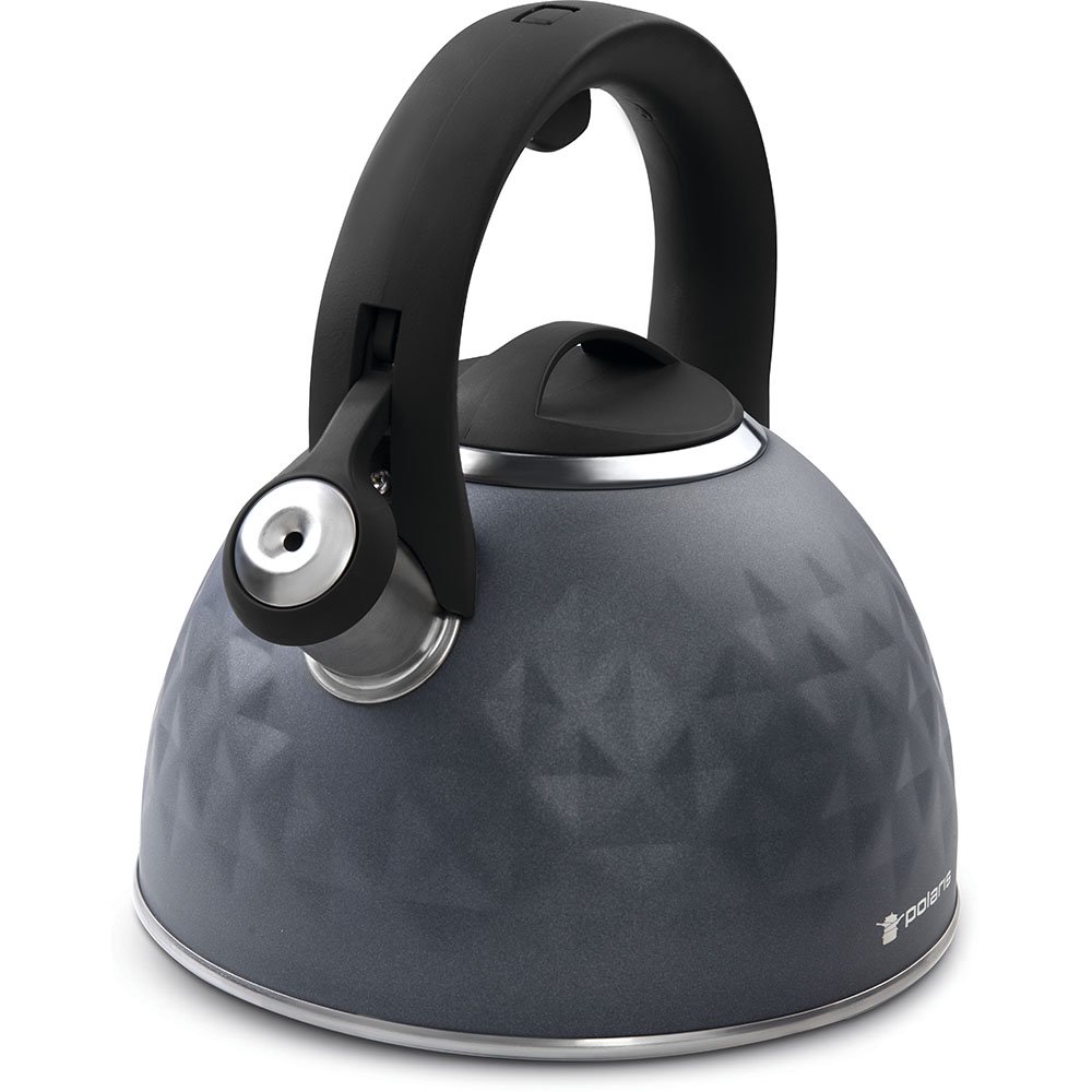 Чайник Polaris Kontur 3л серый - ForteMarket Чайник Polaris Kontur 3л серый купить,0
