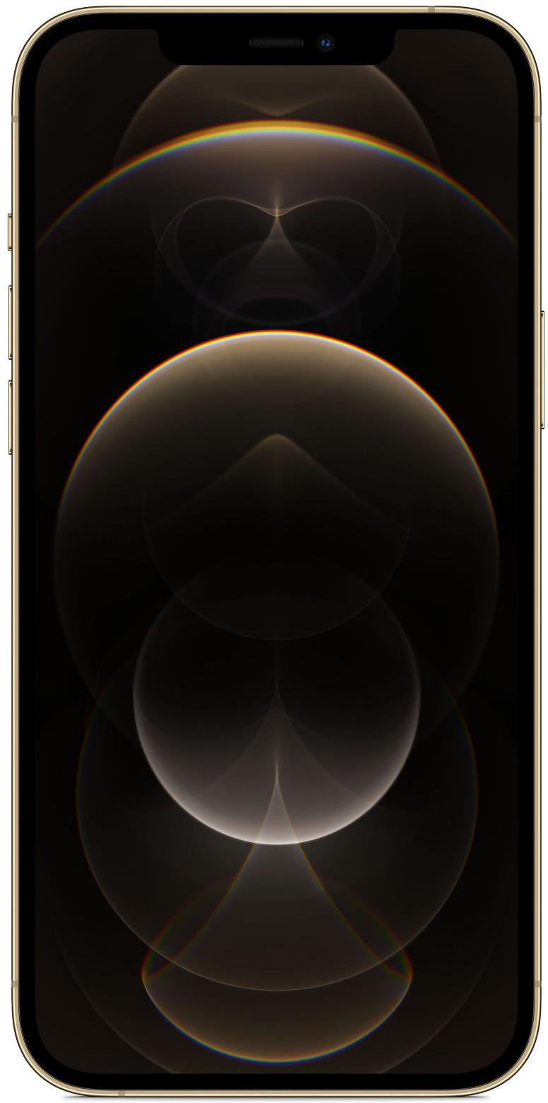 Смартфон Apple iPhone 12 Pro Max 256Gb Gold купить,0
