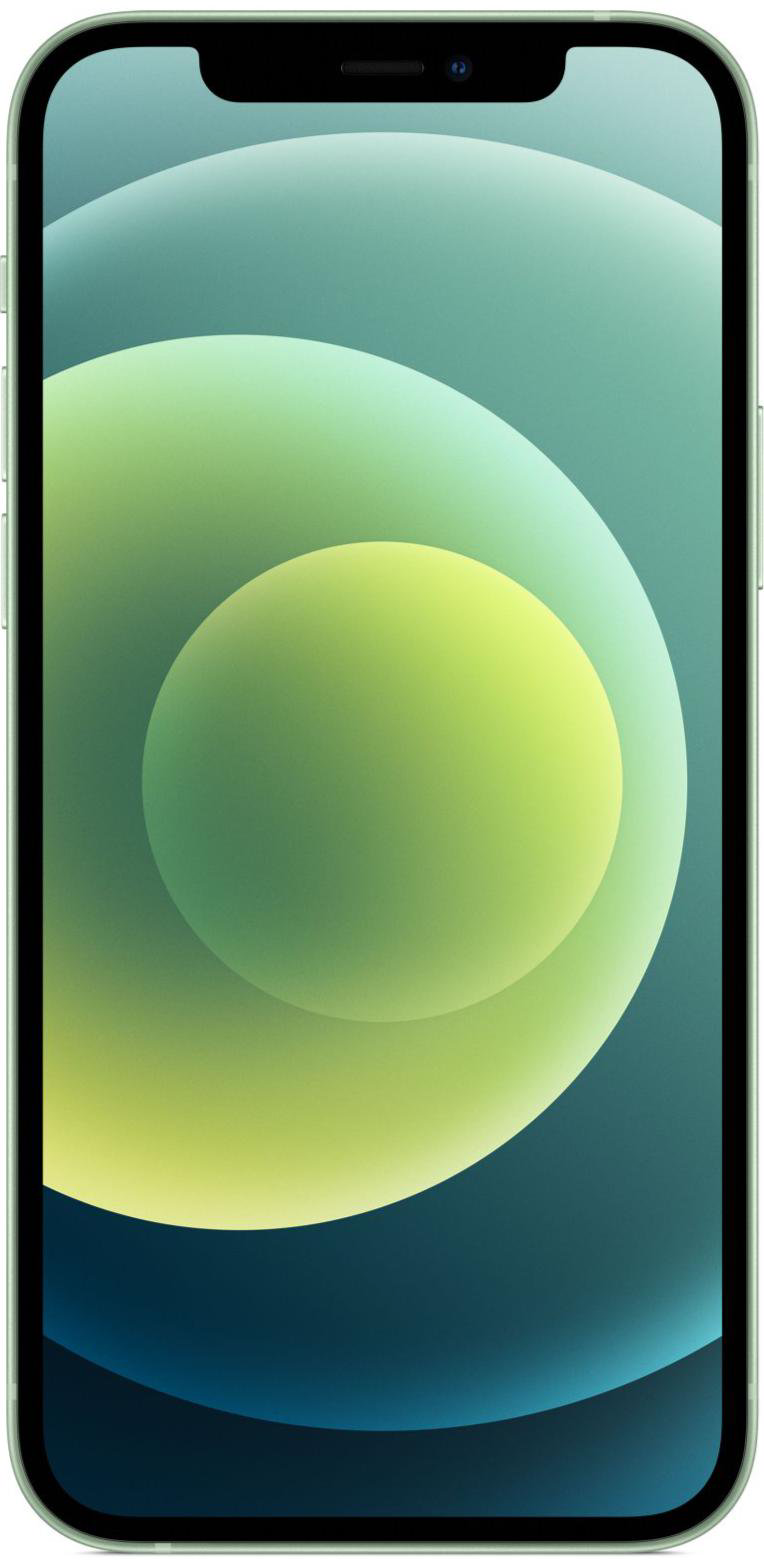 Cмартфон Apple iPhone 12 DS 256Gb Slim Box Green купить,NaN