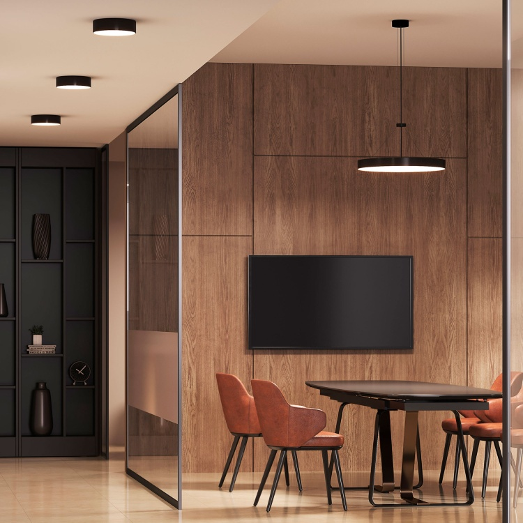 Потолочный светильник Arte Lamp Fado A7399PL-1BK купить,NaN