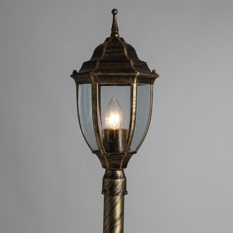 Светильник для наружного освещения Arte Lamp Pegasus A3151PA-1BN купить,NaN
