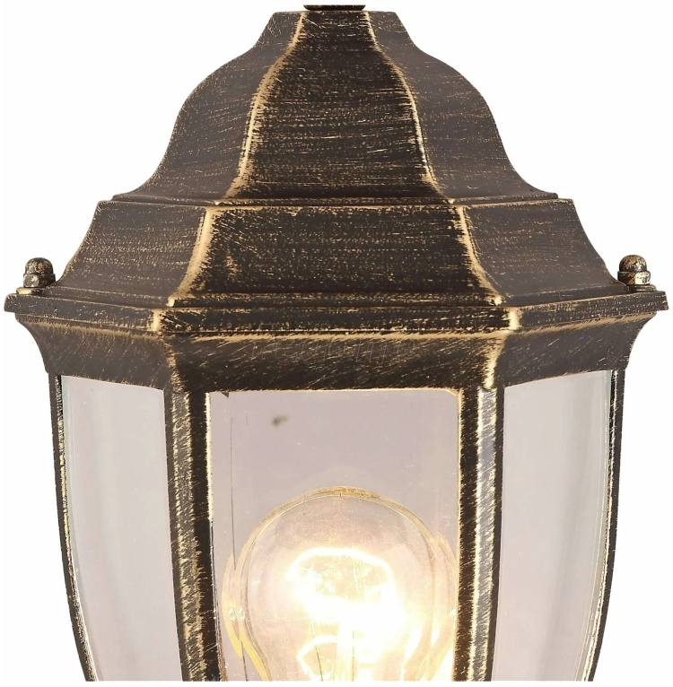 Светильник для наружного освещения Arte Lamp Pegasus A3151FN-1BN купить,NaN
