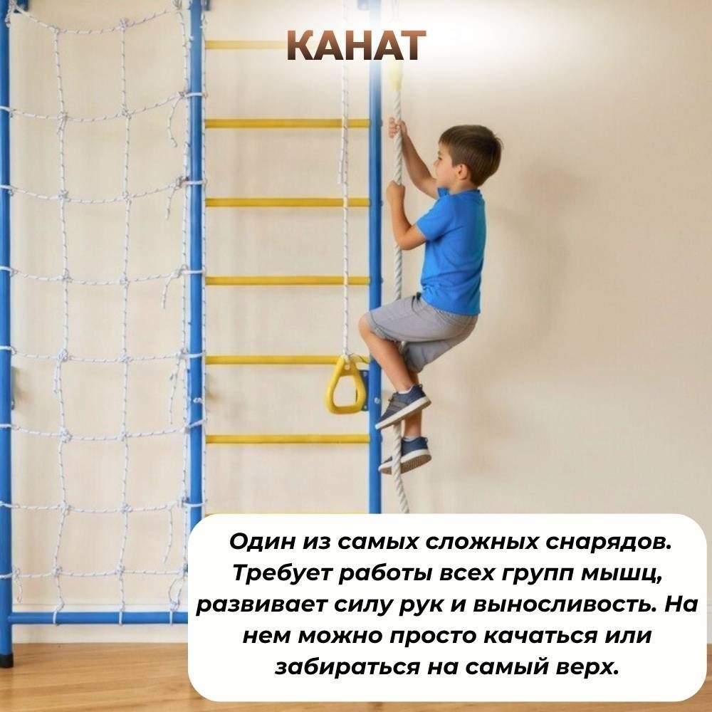 Шведская стенка FitTop XK-029 синий купить,104900