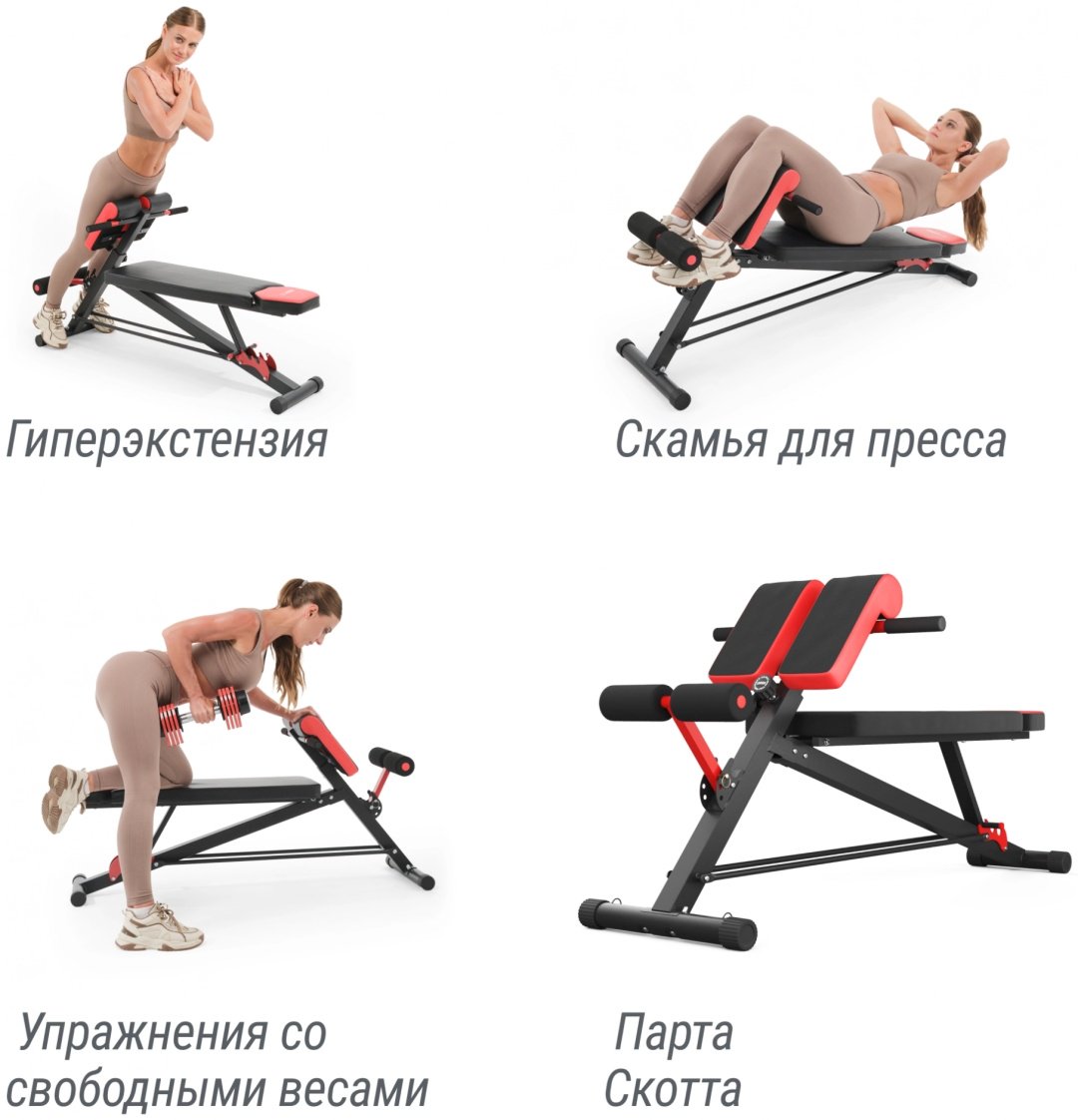 Стойка FitTop FT-SU230