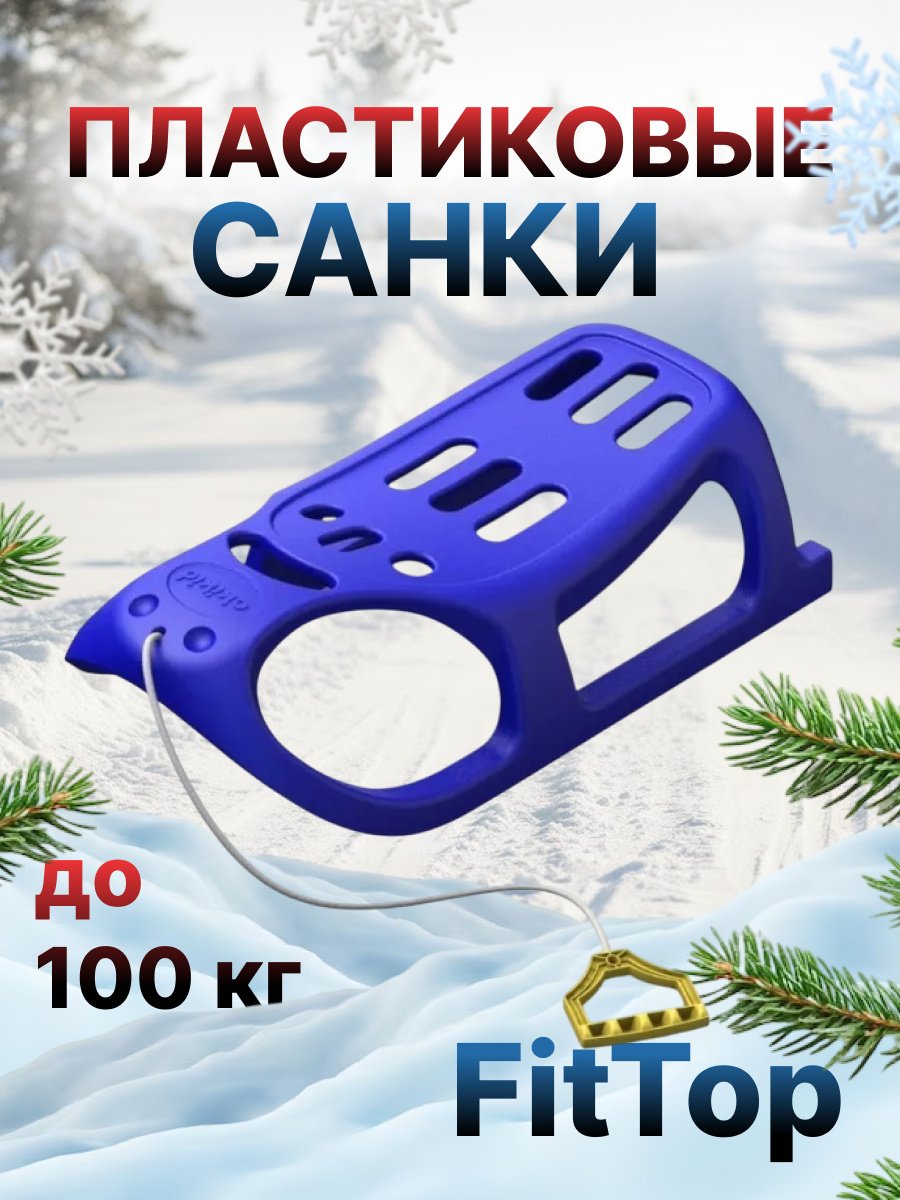 Санки FitTop HLB-04Blue синий