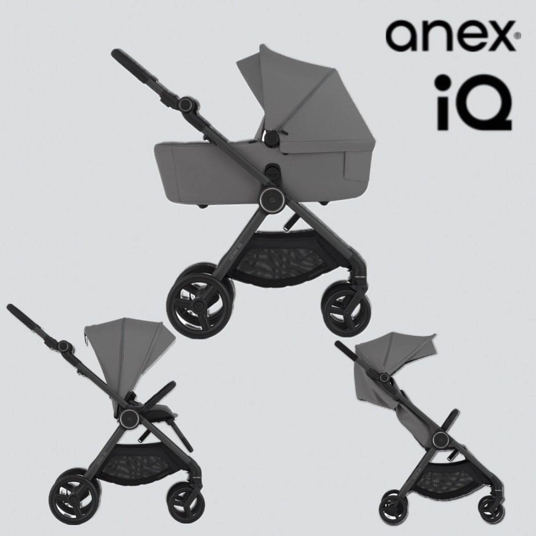Коляска трансформер Anex IQ Basic Lune, серый купить,392900