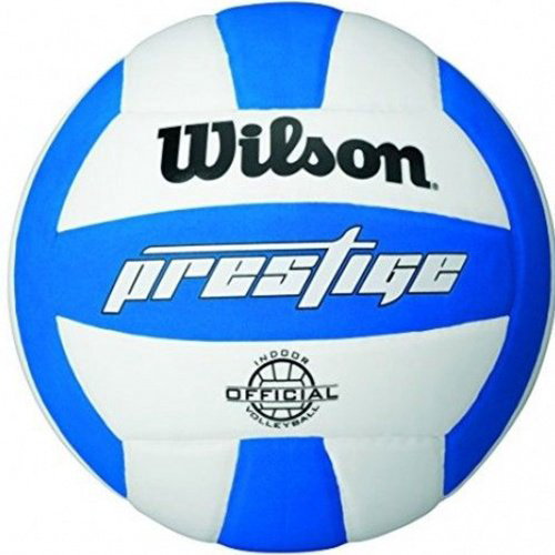 Мяч волейбольный Wilson Prestige сине-белый купить,NaN