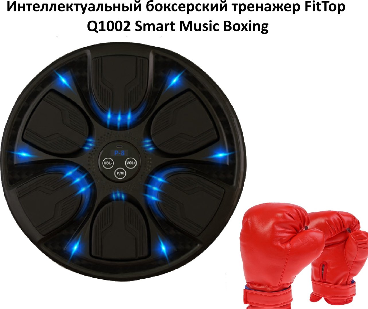Тренировочный снаряд FitTop FT-Q1002 черный