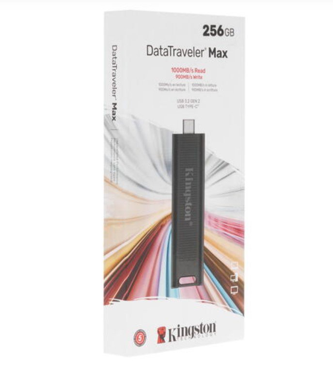 USB-флешка Kingston DTMAX/256GB 256Gb черная купить,0
