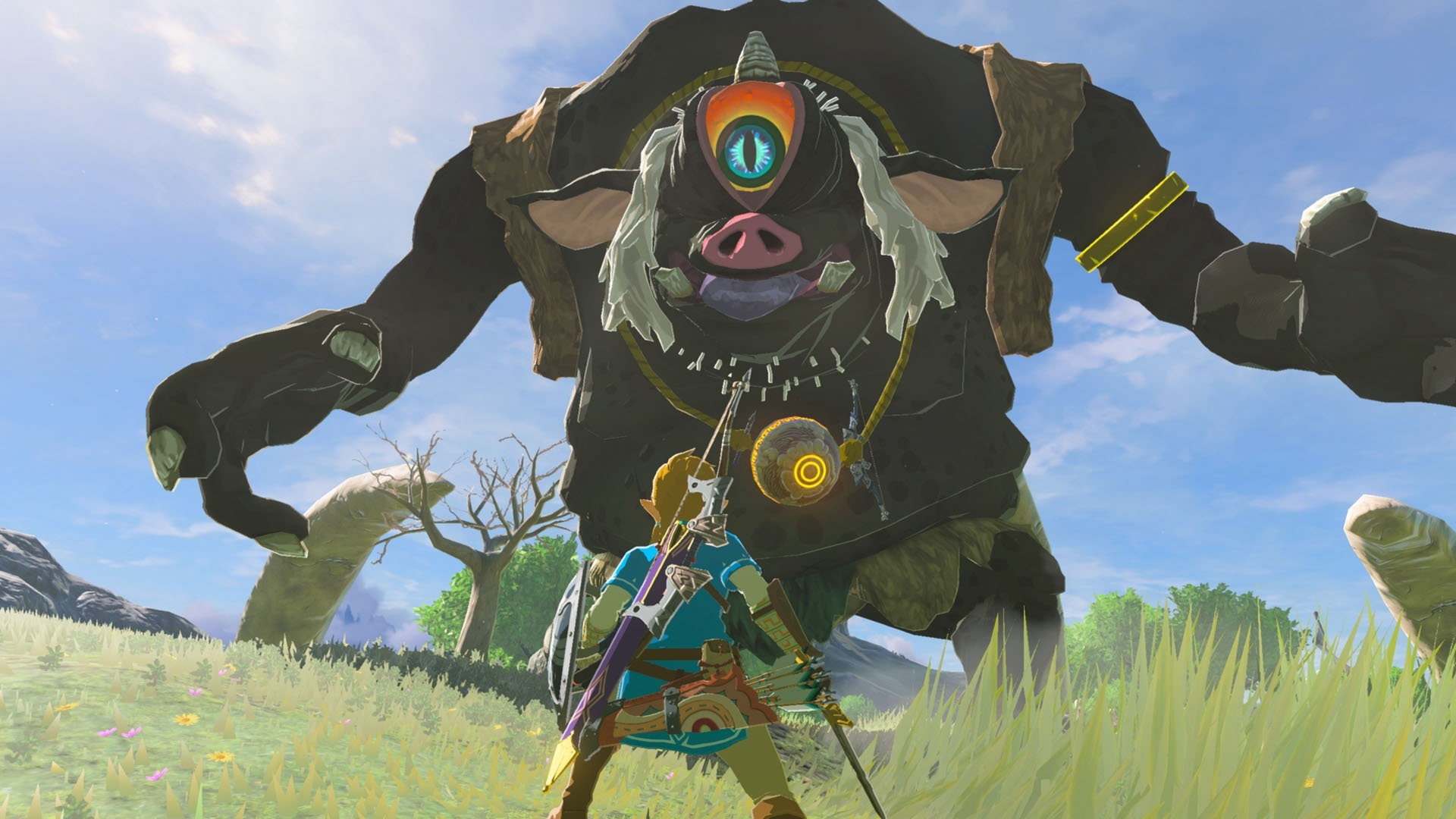 Игра для NS2 The Legend of Zelda: Breath of the Wild  купить,39824