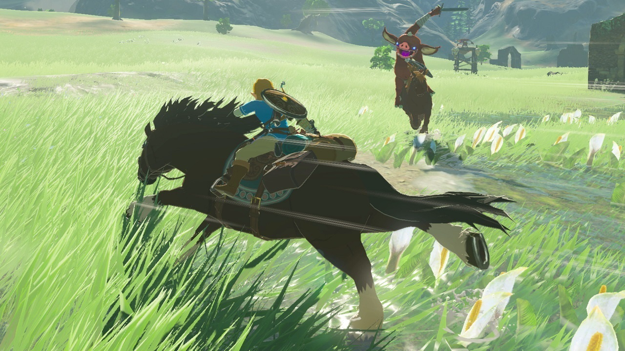 Игра для NS2 The Legend of Zelda: Breath of the Wild  купить,39824