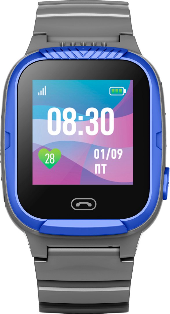 Смарт-часы Wonlex Smart Baby Watch GW100S CT-17 синий-серый купить,NaN