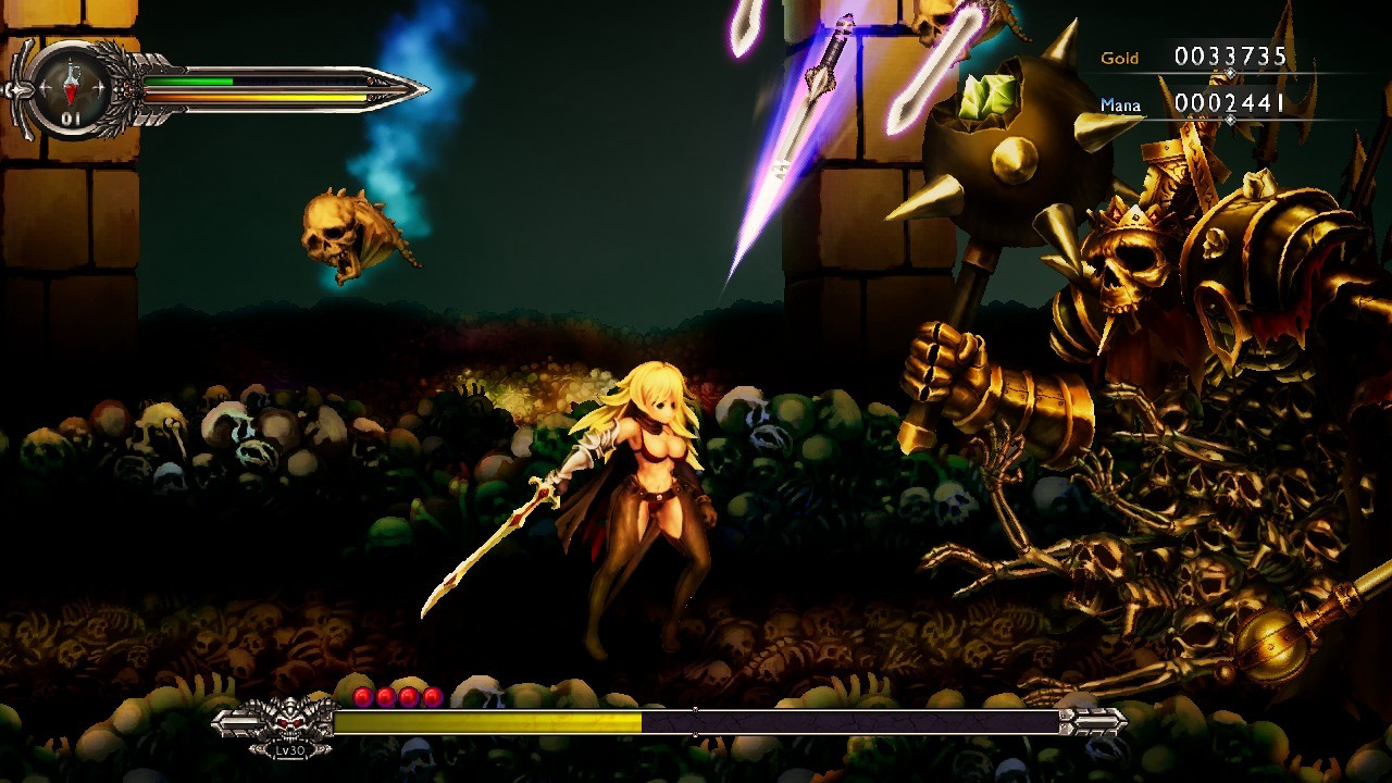 Игра для PS4 Sword of the Vagrant