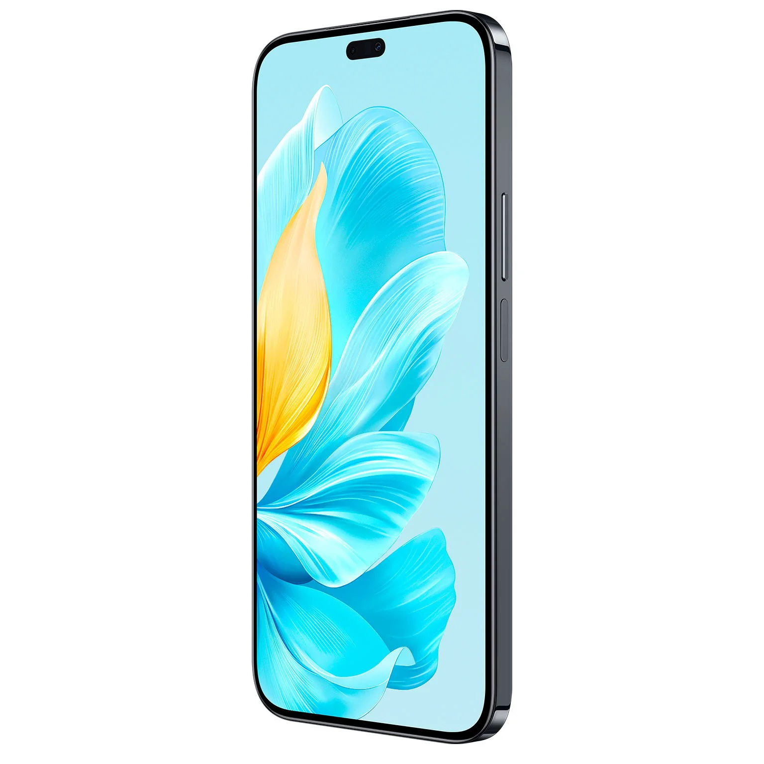 Смартфон Honor 200 Lite 8/256GB Midnight Black купить,0