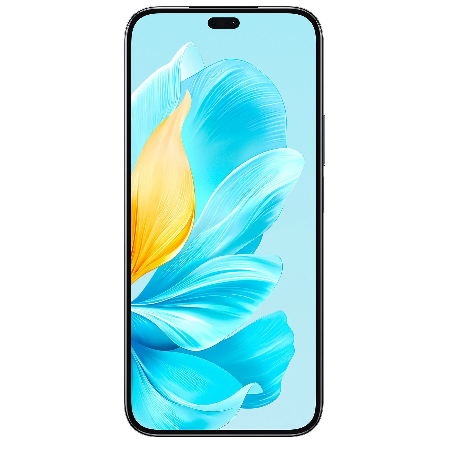 Смартфон Honor 200 Lite 8/256GB Midnight Black купить,0