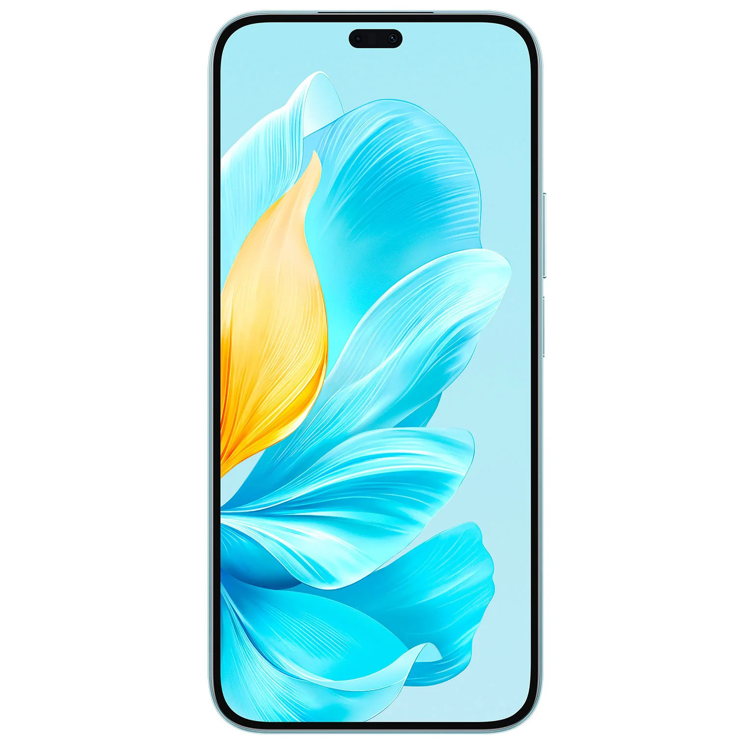 Смартфон Honor 200 Lite 8/256GB Starry Blue купить,152190