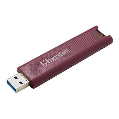USB флешка Kingston DataTraveler Max DTMAXA/256GB бордовая купить,0