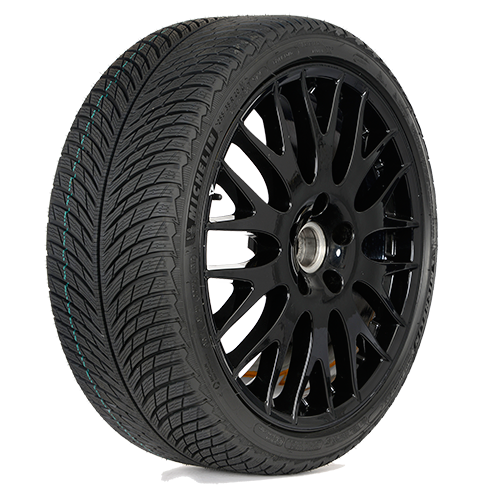 Шина Michelin Pilot Alpin 5 315/30 R21 105V зимняя  купить,NaN