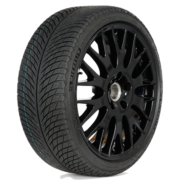 Шина Michelin Pilot Alpin 5 315/30 R21 105V зимняя  